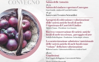 Programma VI Festa della Mela